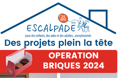 Opération Briques 2024