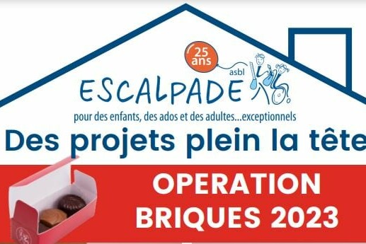 Opération Briques 2023