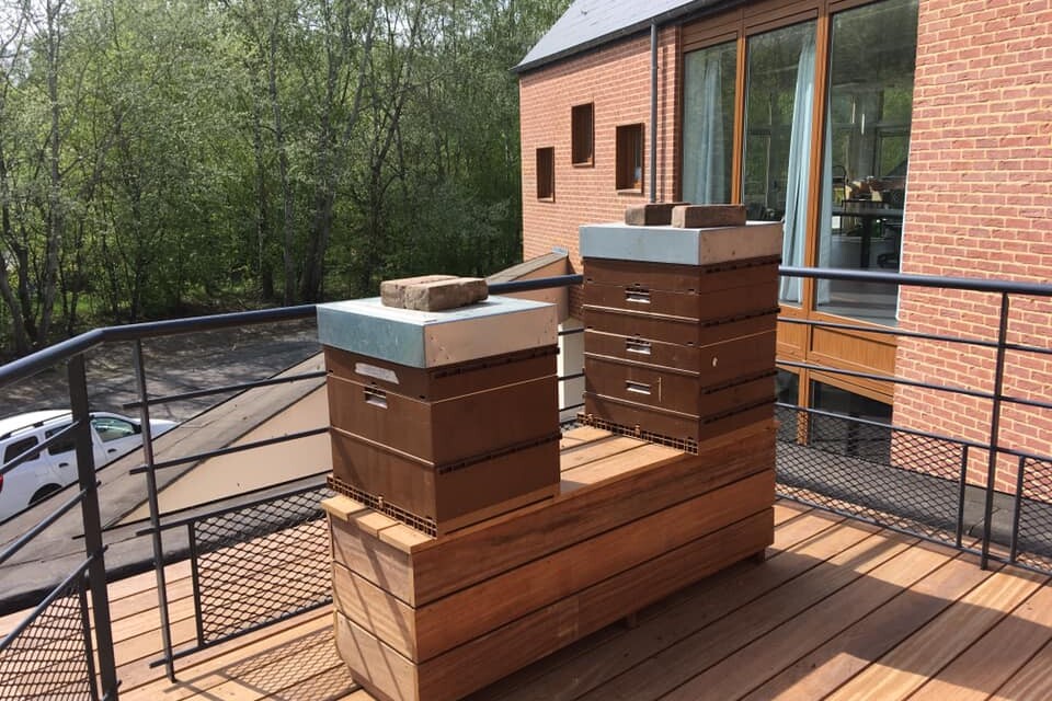 apiculture